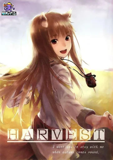 Spice and Wolf – Harvest